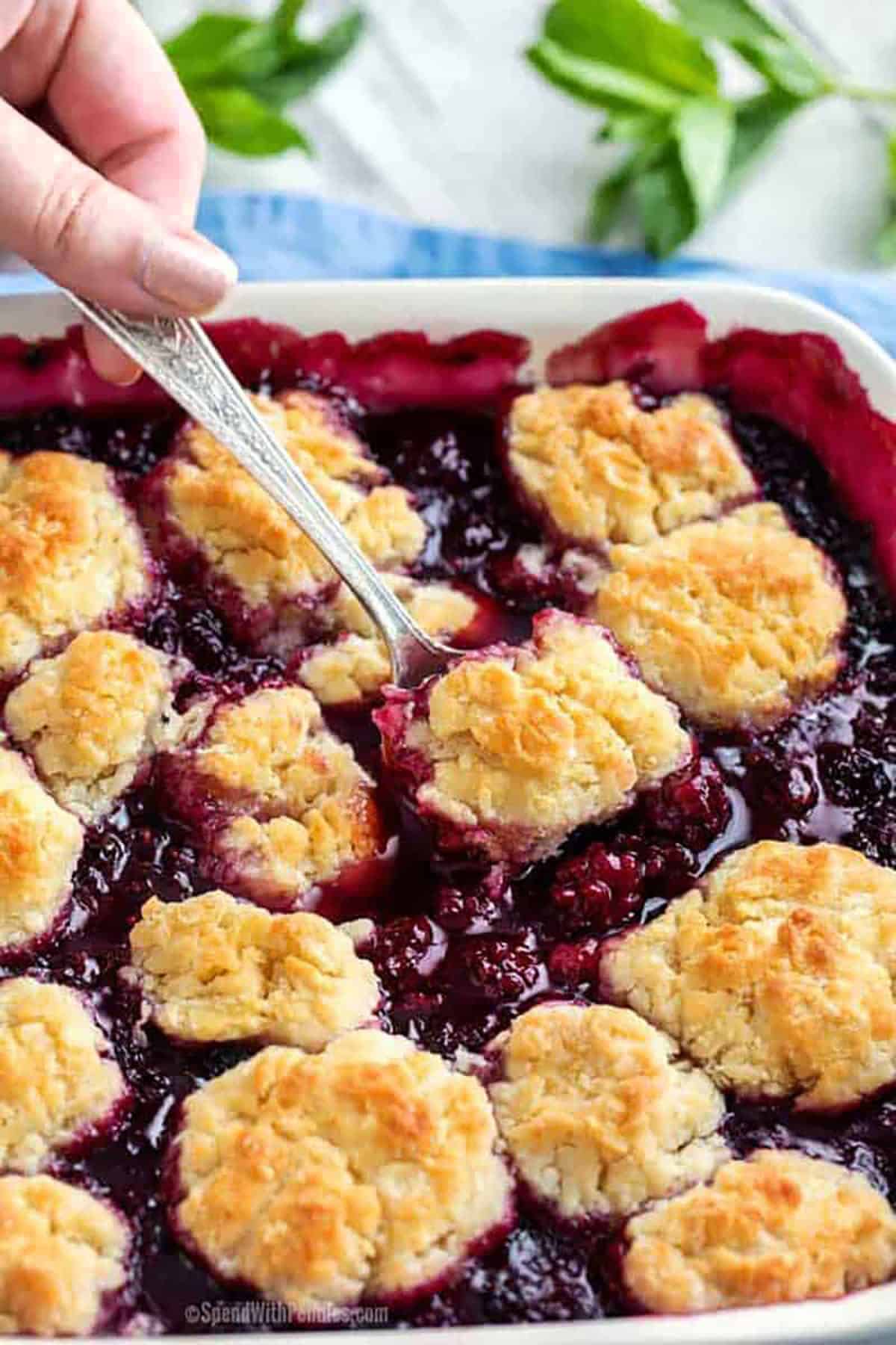 close up of taking a spoonfull of Blackberry Cobbler Recipe out of the dish