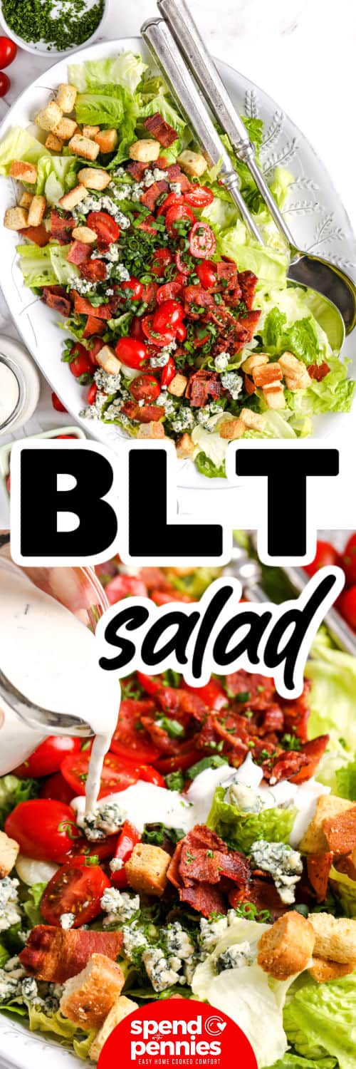 BLT salad is the ultimate combination of crisp lettuce, sweet tomatoes, smoky bacon, and tangy cheese, all tossed in a creamy homemade dressing. Every bite delivers a mix of bold flavor and fresh crunch that makes it irresistible. The dressing is quick to shake together and adds the perfect finishing touch. It’s a simple recipe that delivers big on taste and texture. #spendwithpennies BLT Salad on a plate and close up of adding salad dressing with a title