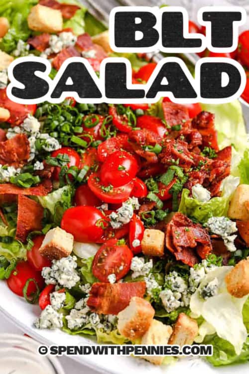 BLT salad is a crisp, refreshing twist on the classic sandwich, packed with chopped iceberg and romaine lettuce, juicy tomatoes, and crunchy bacon. Topped with green onions and your choice of bold blue cheese, cheddar, or feta, it’s a flavor-packed dish. A creamy homemade dressing brings it all together with hints of lemon, dill, and garlic. This satisfying salad is perfect for lunch or a hearty side. #spendwithpennies close up of BLT Salad with a title