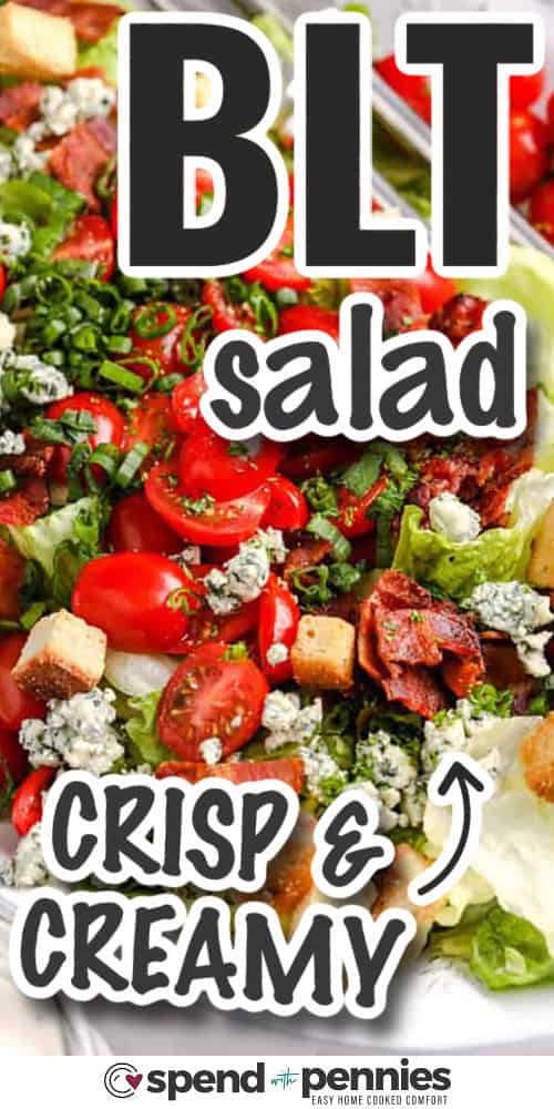 BLT salad blends fresh greens, juicy tomatoes, smoky bacon, and crumbled cheese into a salad that eats like a meal. The dressing is creamy with a slight tang, made with sour cream, mayo, and dill for a burst of flavor. It’s great for serving at BBQs, picnics, or family dinners. This easy-to-make salad is a new favorite in any meal rotation. #spendwithpennies crisp and creamy BLT Salad with writing