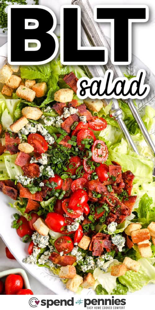 BLT salad is a crunchy, creamy, and delicious way to enjoy the flavors of your favorite sandwich in salad form. Romaine and iceberg lettuce pair with ripe tomatoes, crisp bacon, and your choice of cheese for a satisfying bite. The homemade dressing ties everything together with fresh herbs and zesty lemon. It's a perfect side or light dinner everyone will love. #spendwithpennies plate of BLT Salad with a title